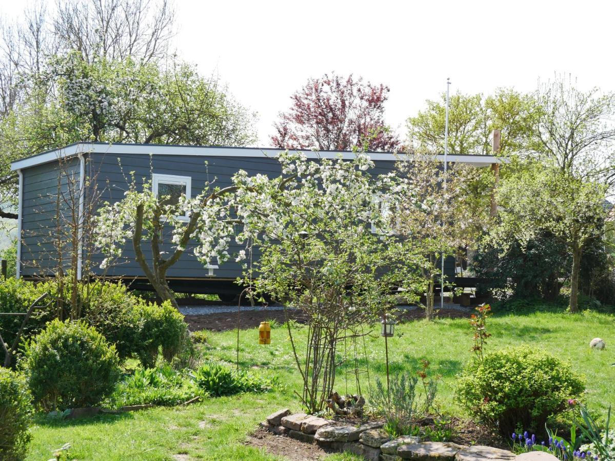 Tiny Ferienhaus Kelze Hofgeismar Kültér fotó